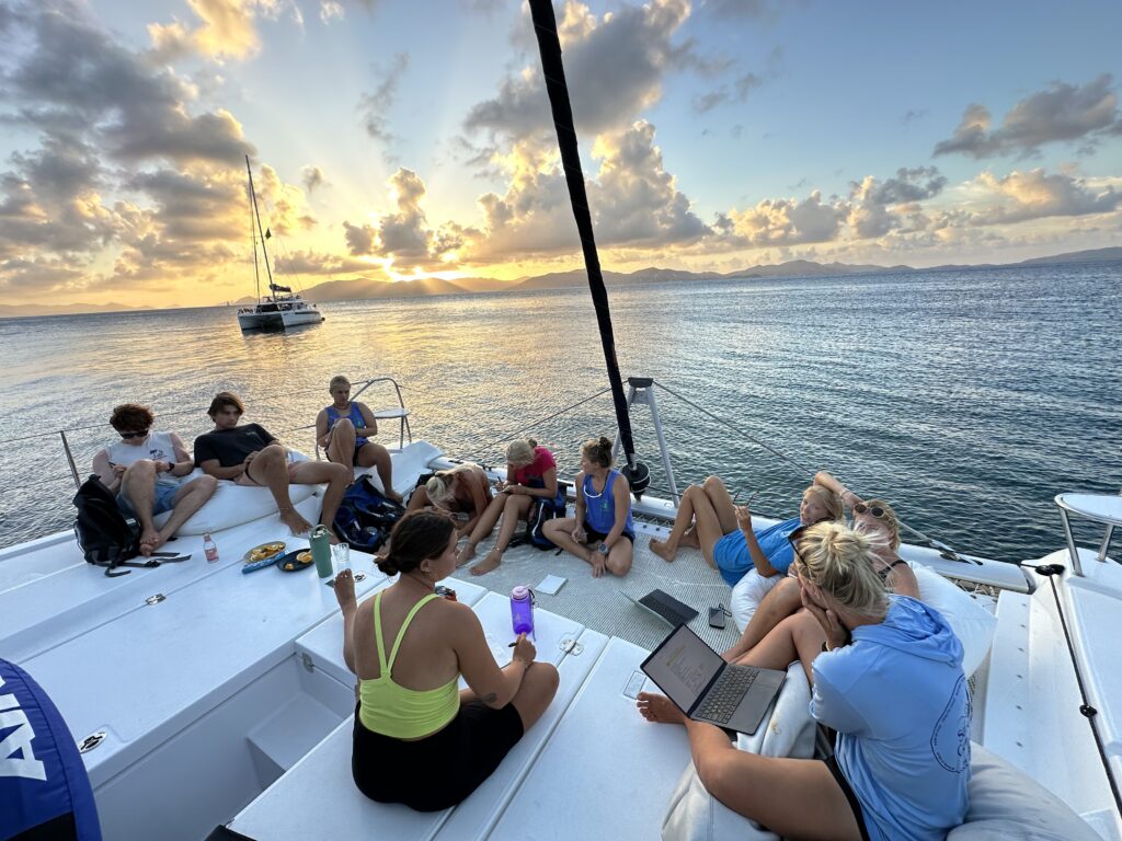 fractional CMO, fractional marketing executive, Sail Caribbean, British Virgin Islands sailing camp, Tortola, BVI summer camp, marketing agency onboarding, embedded marketing leadership, Brandworth Agency