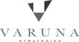 Varuna Strategies New website